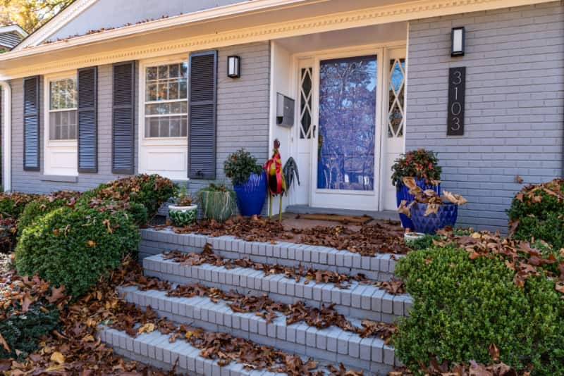 Front of house with leaves on ground
