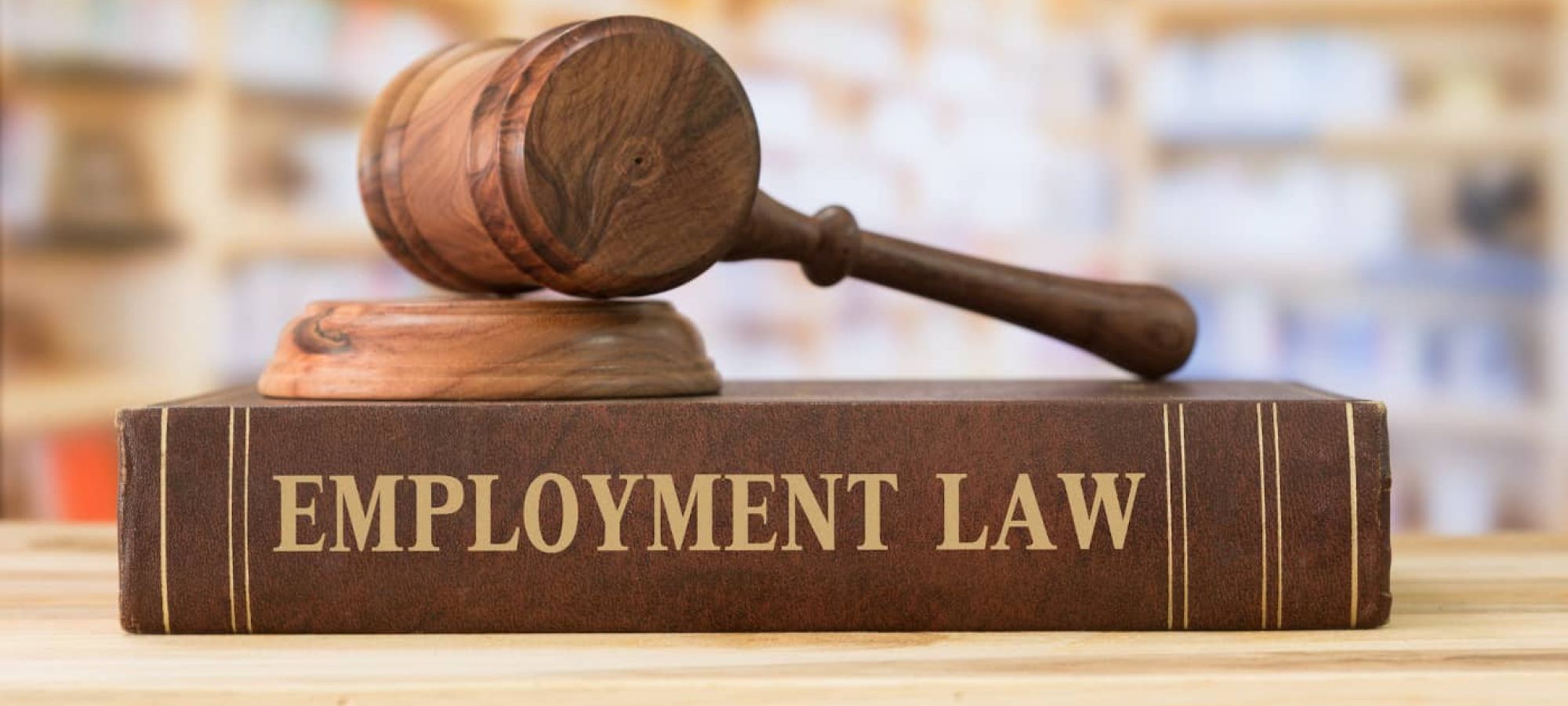 Employment law book