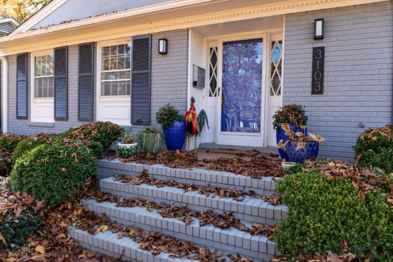Front of house with leaves on ground